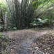El Yunque National Forest Camp Sites