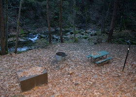 Crystal Creek Primitive Campground