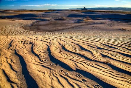 Camper submitted image from Killpecker Sand Dunes Open Play Area Campground - 2