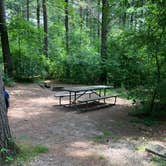 Review photo of Pinewoods Campground — Kettle Moraine State Forest-Southern Unit by Abbe W., July 16, 2024