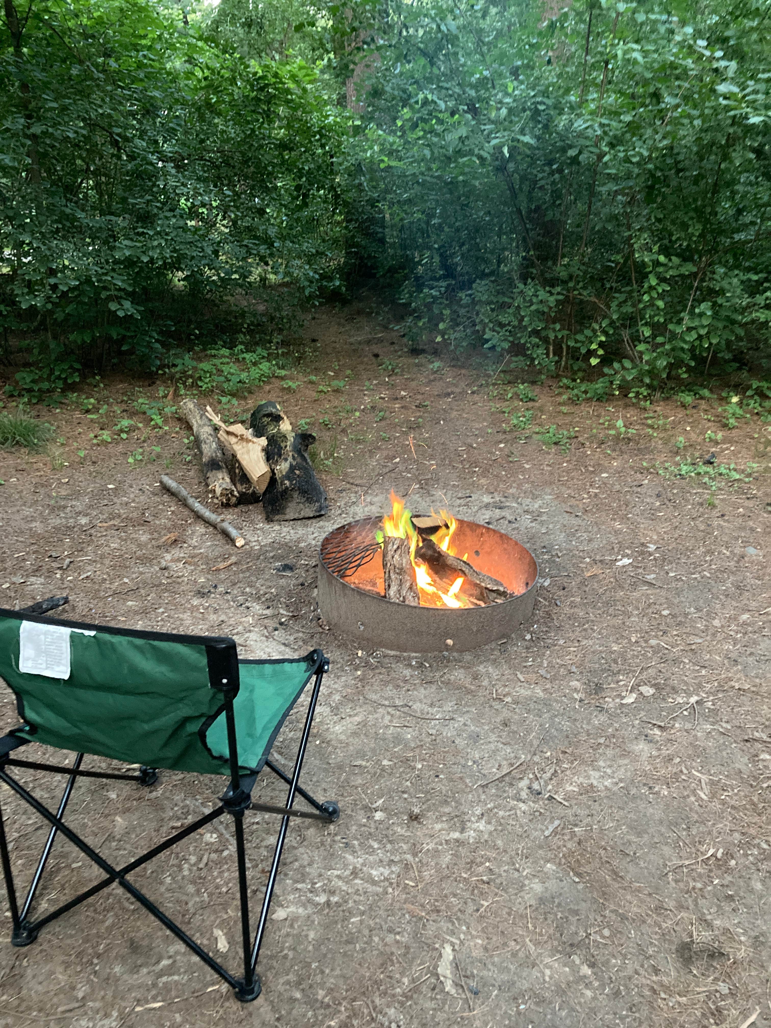 Abbe W.'s photo at Pinewoods & Group Camp — Kettle Moraine State Forest - Southern Unit near Palmyra, WI
