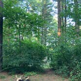 Review photo of Pinewoods Campground — Kettle Moraine State Forest-Southern Unit by Abbe W., July 16, 2024