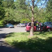 Review photo of Champoeg State Heritage Area Campground by Paul A., May 2, 2016