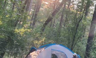Abbe W.'s photo at Pinewoods Campground — Kettle Moraine State Forest-Southern Unit near Milwaukee, WI