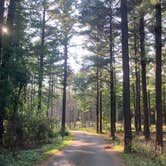 Review photo of Pinewoods Campground — Kettle Moraine State Forest-Southern Unit by Abbe W., July 16, 2024