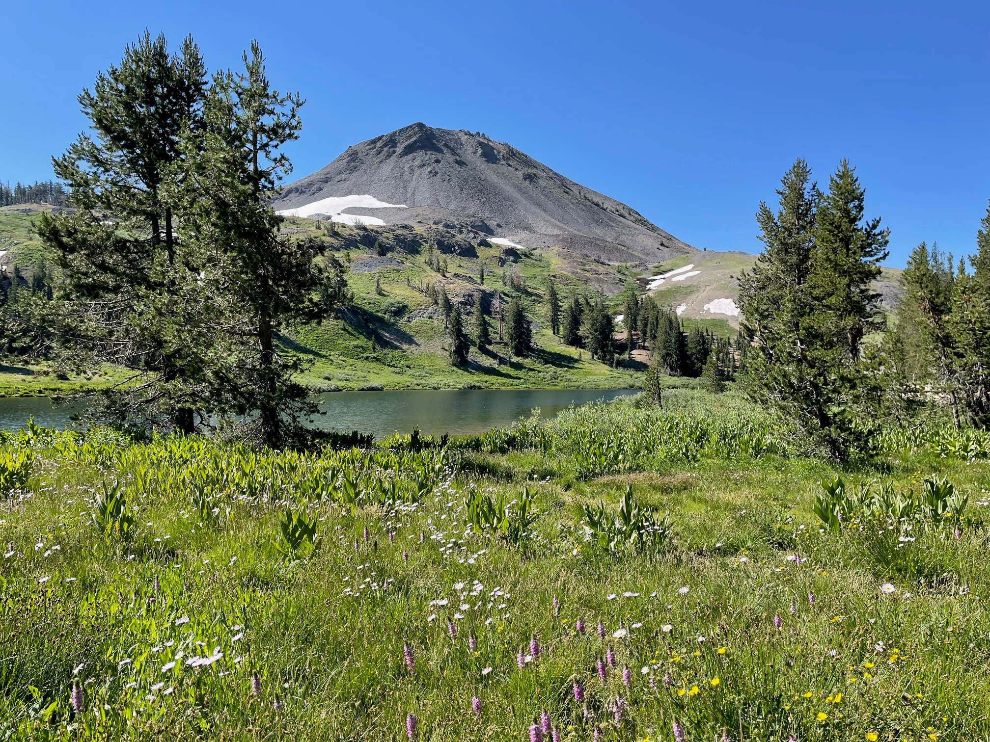 Camper-submitted photo at Highland Lakes Campground near Coleville, CA
