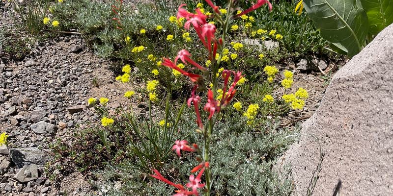 Camper submitted image from Highland Lakes Campground