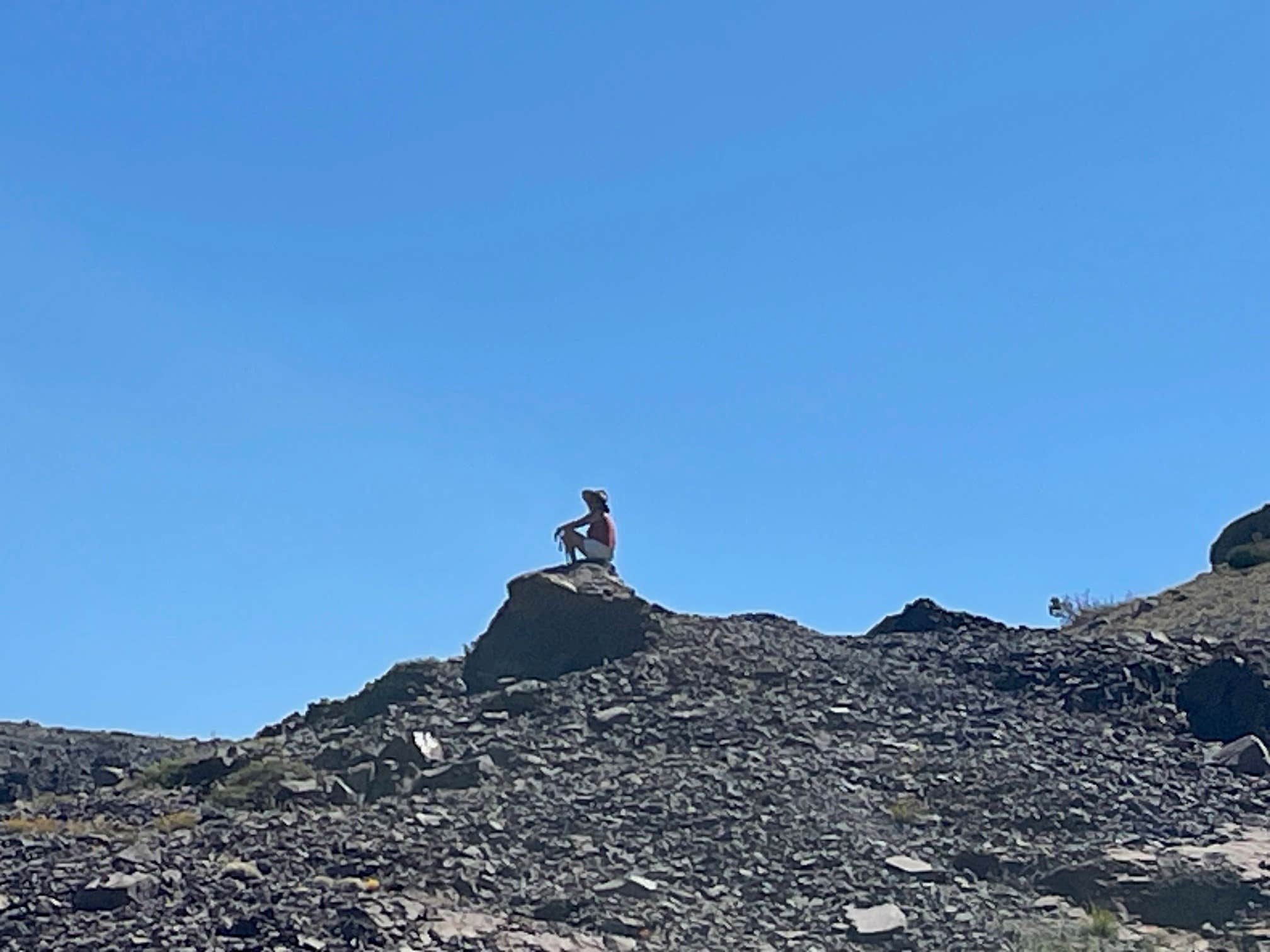 Camper-submitted photo at Highland Lakes Campground near Coleville, CA