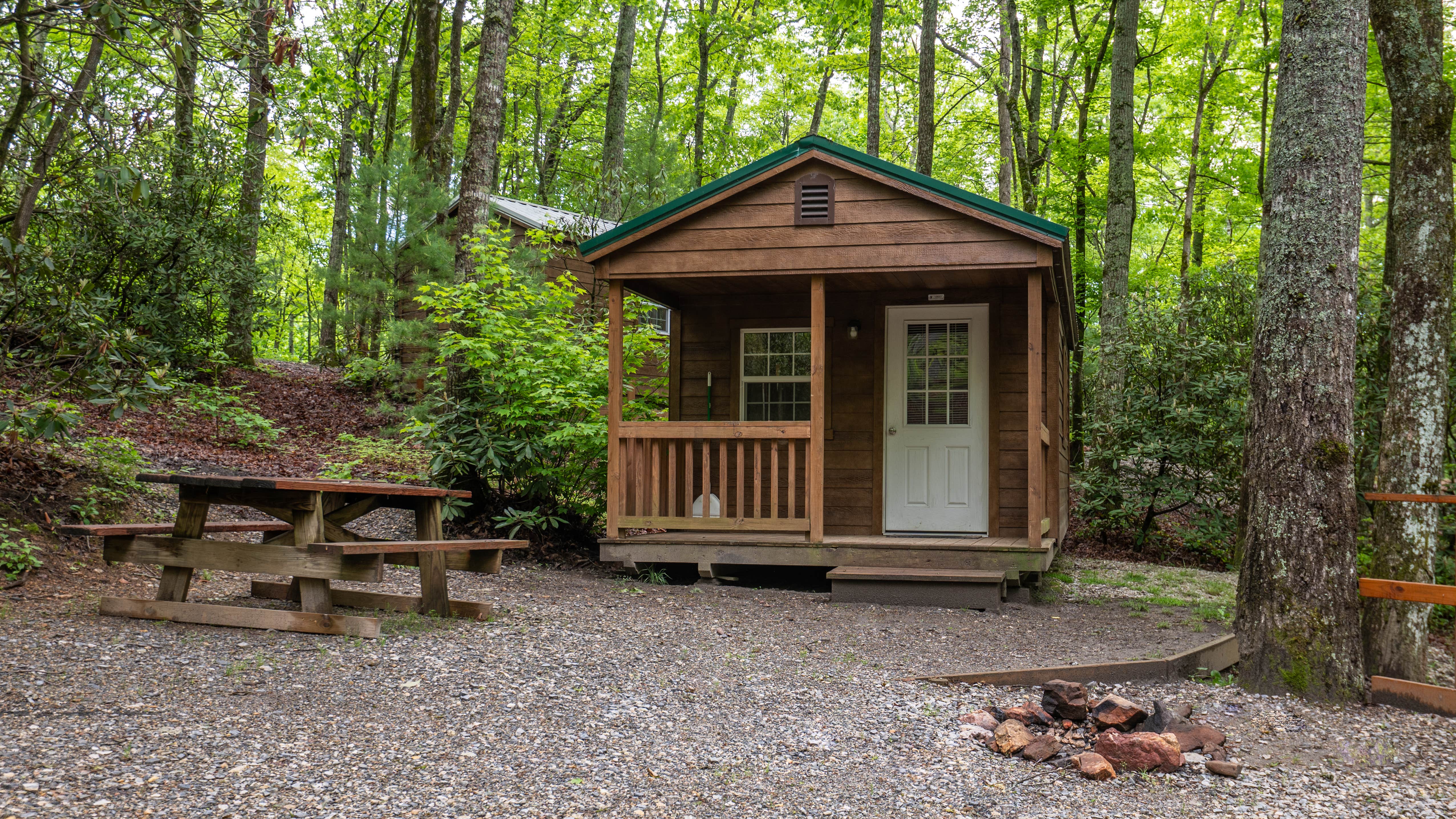 Spacious S.'s photo of a cabin at Spacious Skies Bear Den near Erwin, TN