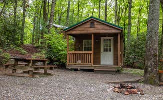Spacious S.'s photo of a cabin at Spacious Skies Bear Den near Morganton, NC