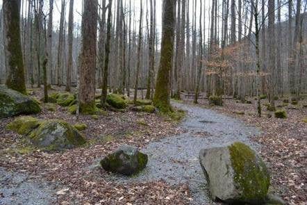 Camper submitted image from Big Creek Campground — Great Smoky Mountains National Park - 1
