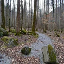 Public Campgrounds: Big Creek Campground — Great Smoky Mountains National Park
