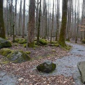 Big Creek Campground — Great Smoky Mountains National Park