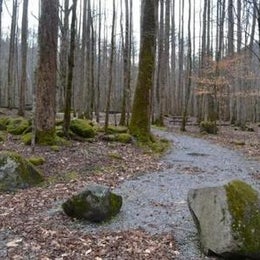 Public Campgrounds: Big Creek Campground — Great Smoky Mountains National Park