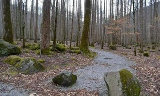 Camping near Sunset Ridge in the Smoky Mountains: Big Creek Campground — Great Smoky Mountains National Park, Hartford, Tennessee