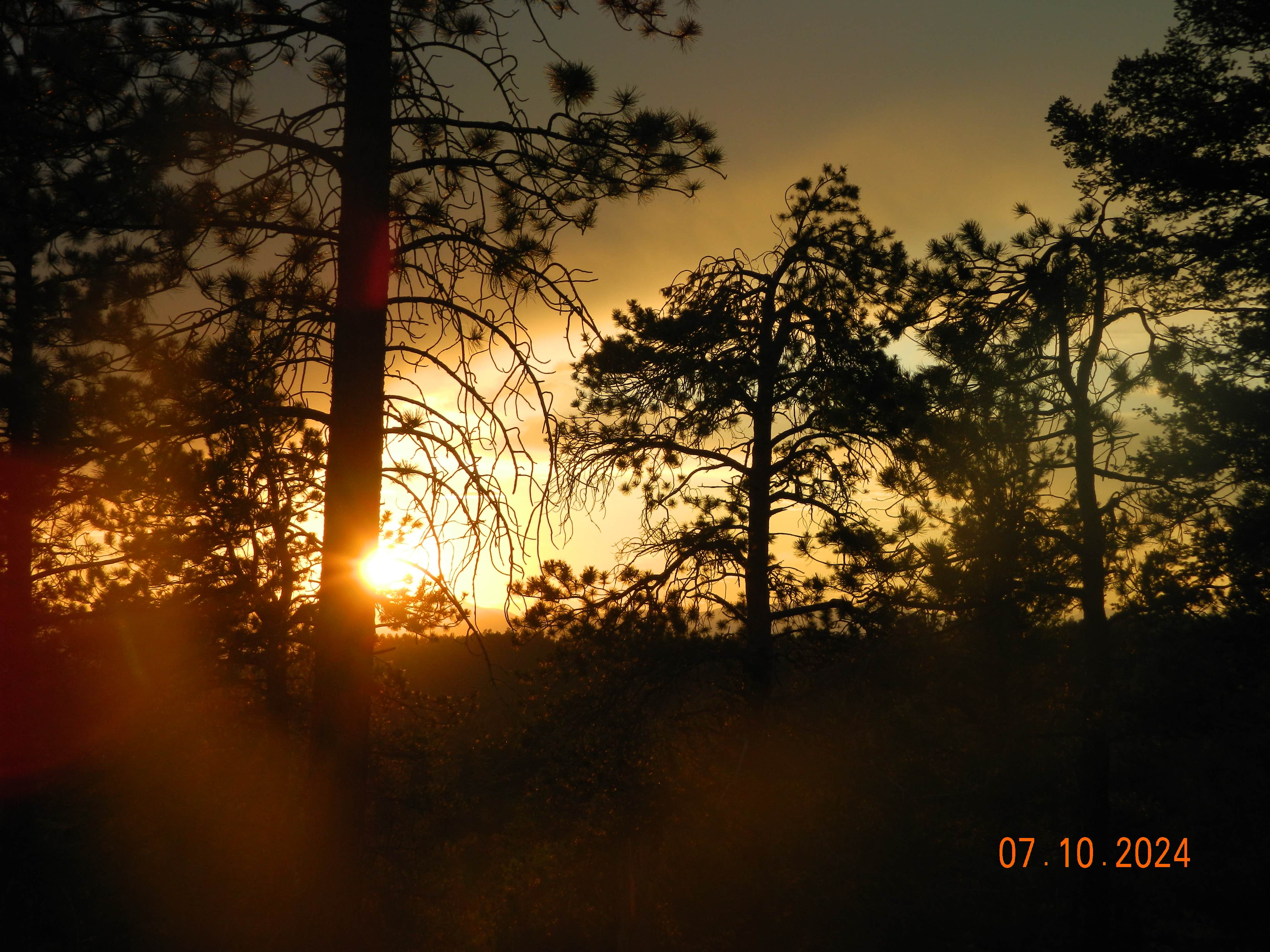 Elise C.'s photo of a dispersed camping area at Rampart Range Dispersed near Lone Tree, CO