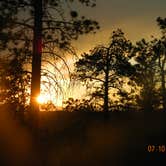 Review photo of Rampart Range Dispersed by Elise C., July 17, 2024