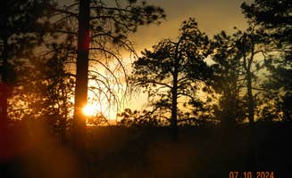 Elise C.'s photo of a dispersed camping area at Rampart Range Dispersed near Parker, CO