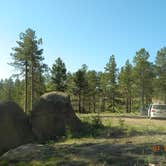 Review photo of Rampart Range Dispersed by Elise C., July 17, 2024