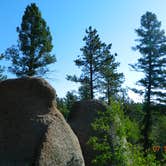 Review photo of Rampart Range Dispersed by Elise C., July 17, 2024