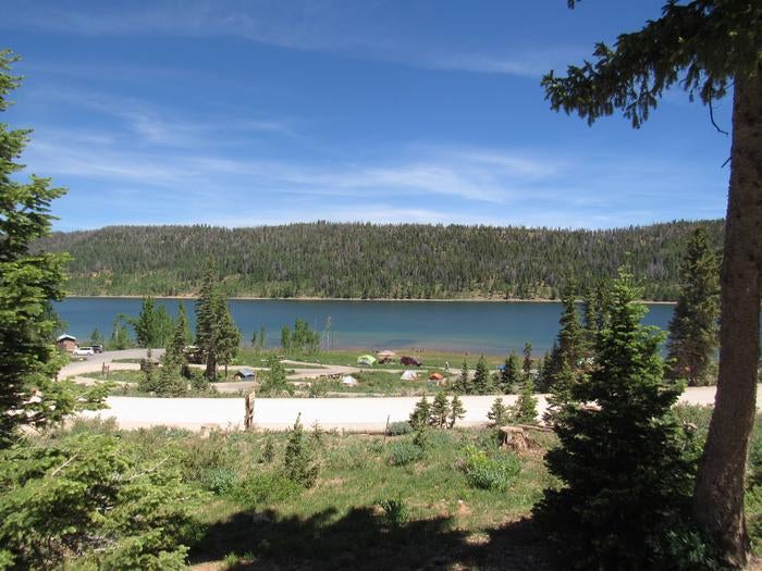 Camper submitted image from Navajo Lake Campground - 3