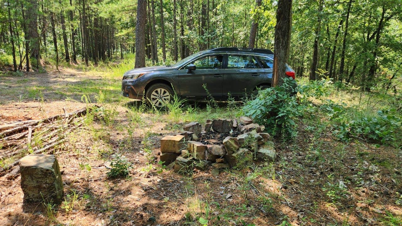 Camper submitted image from Girard Rd/Forest Road 20 Dispersed, Ouachita National Forest, AR - 1