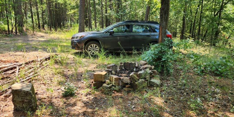 Camper submitted image from Girard Rd/Forest Road 20 Dispersed, Ouachita National Forest, AR