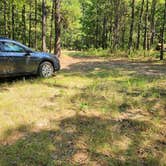 Review photo of Girard Rd/Forest Road 20 Dispersed, Ouachita National Forest, AR by Fred S., July 17, 2024