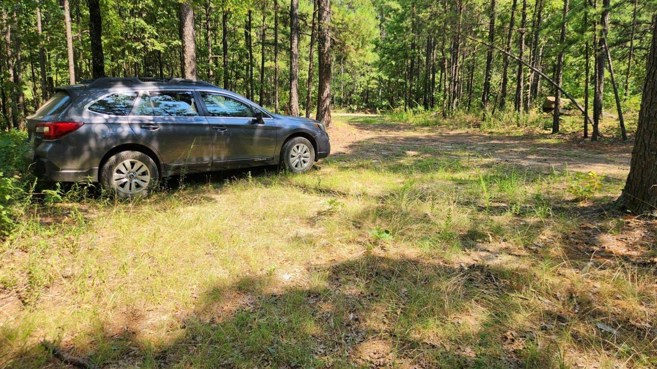 Camper submitted image from Girard Rd/Forest Road 20 Dispersed, Ouachita National Forest, AR - 3