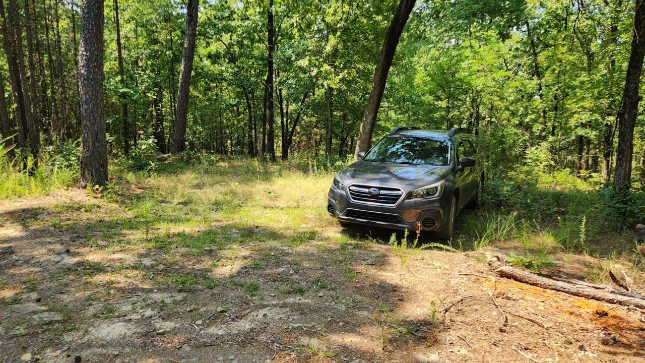 Camper-submitted photo at Girard Rd/Forest Road 20 Dispersed, Ouachita National Forest, AR near Paris, AR