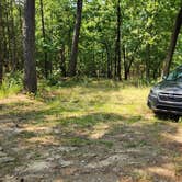 Review photo of Girard Rd/Forest Road 20 Dispersed, Ouachita National Forest, AR by Fred S., July 17, 2024