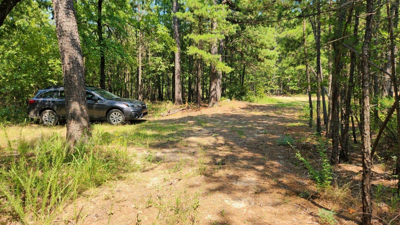 Camper-submitted photo at Girard Rd/Forest Road 20 Dispersed, Ouachita National Forest, AR near Paris, AR