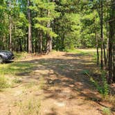 Review photo of Girard Rd/Forest Road 20 Dispersed, Ouachita National Forest, AR by Fred S., July 17, 2024