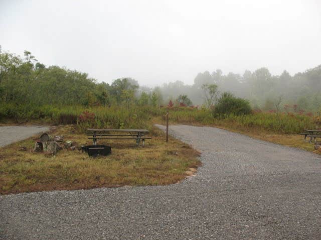 Camper submitted image from War Ridge / Backus Mountain Campground — New River Gorge National Park and Preserve - 1