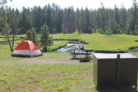 Camper submitted image from Norris Campground — Yellowstone National Park - 1