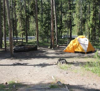 Camper-submitted photo from Norris Campground — Yellowstone National Park - TEMPORARILY CLOSED