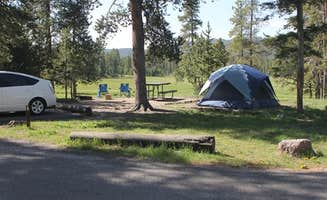 The Dyrt's photo at Norris Campground — Yellowstone National Park - TEMPORARILY CLOSED near Yellowstone National Park
