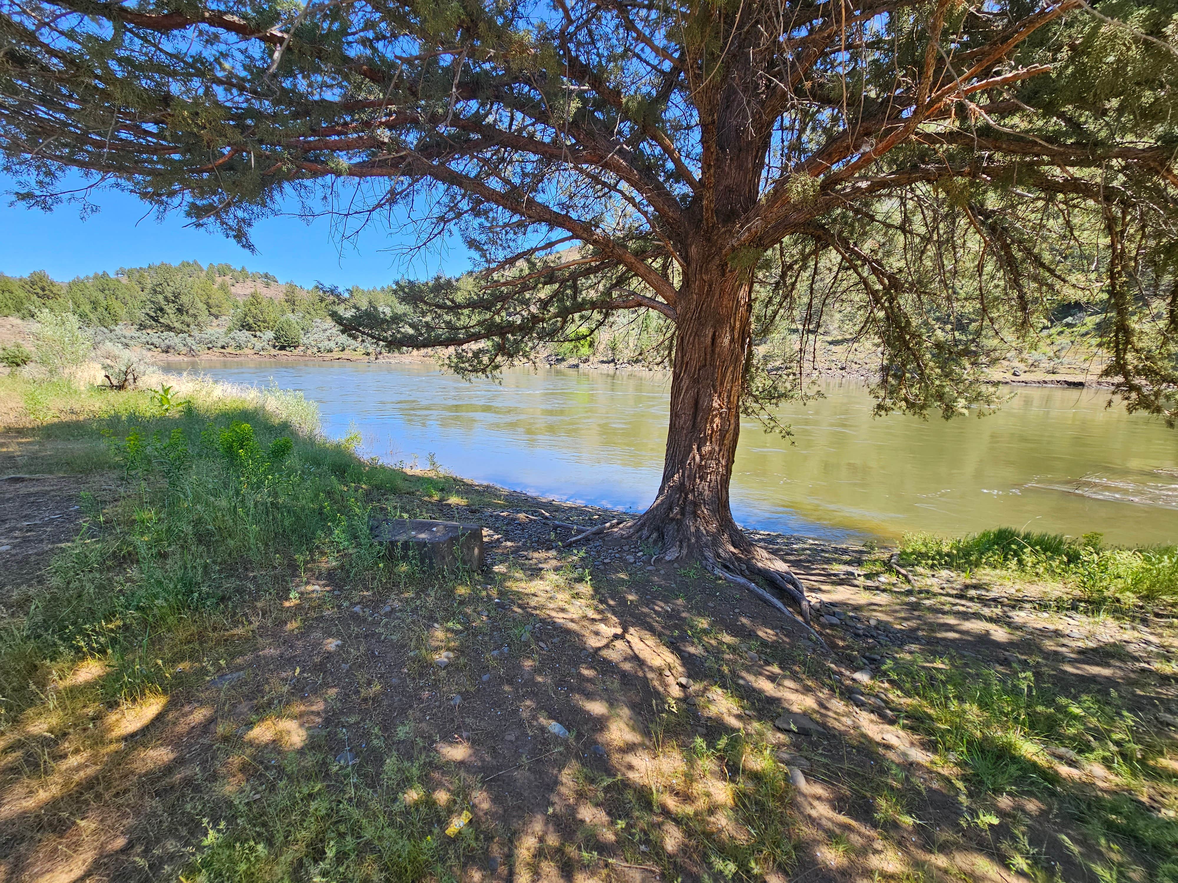 Camper-submitted photo at Big Bend Campground near Kimberly, OR