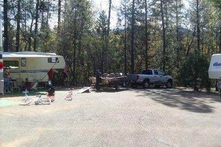 Camper submitted image from Hirz Bay Group 2 — Shasta Trinity National Forest - 1