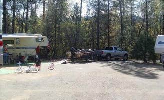 The Dyrt's photo at Hirz Bay Group 2 — Shasta Trinity National Forest near Redding, CA