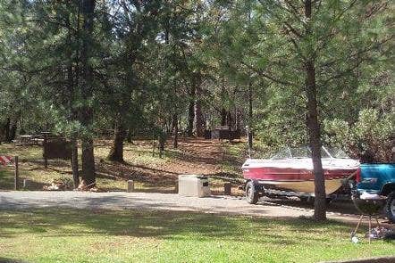 Camper submitted image from Hirz Bay Group 2 — Shasta Trinity National Forest - 2
