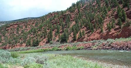 Cottonwood Site