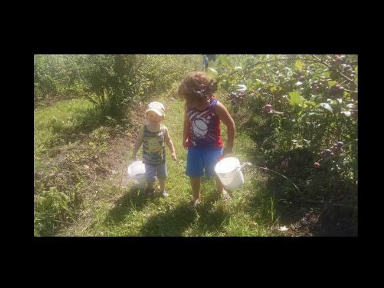Camper submitted image from Moss Funnel Farms - 5