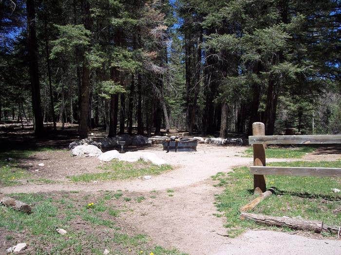Black Bear Group group site fire pit. 



Credit: Recreation Resource Management