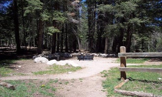 Black Bear Group Campground