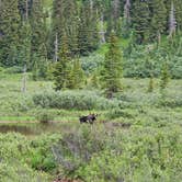 Review photo of Golden Horn Dispersed by Texas Roving Ranger , July 12, 2024