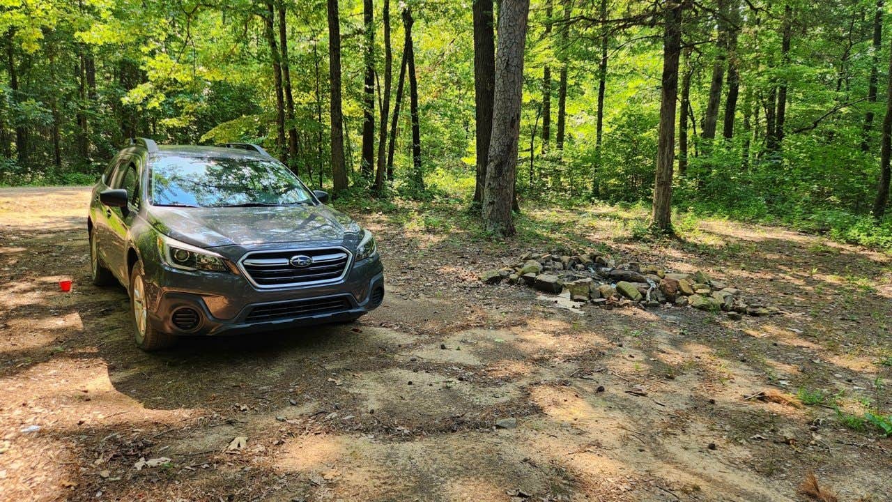 Camper submitted image from Jack Creek Road Dispersed, Ouachita National Forest, AR - 3