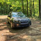 Review photo of Jack Creek Road Dispersed, Ouachita National Forest, AR by Fred S., July 19, 2024