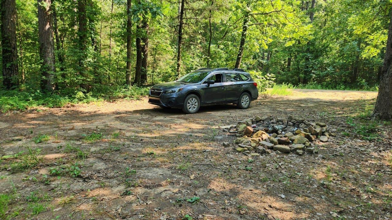 Camper submitted image from Jack Creek Road Dispersed, Ouachita National Forest, AR - 1