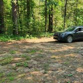 Review photo of Jack Creek Road Dispersed, Ouachita National Forest, AR by Fred S., July 19, 2024